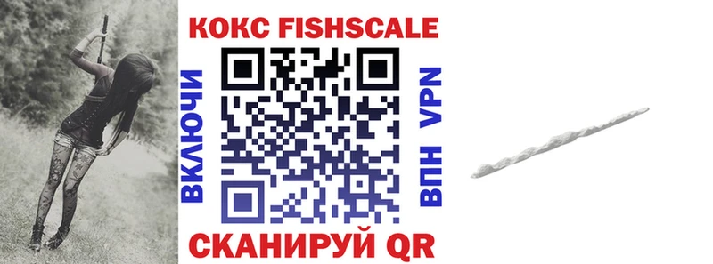 COCAIN Fish Scale  мега рабочий сайт  Красный Сулин  где продают  