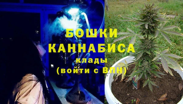 дживик Семилуки