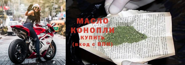 дживик Семилуки