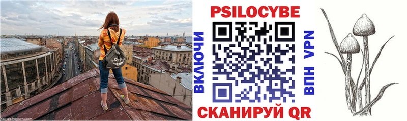 Псилоцибиновые грибы Psilocybine cubensis KRAKEN как войти Красный Сулин